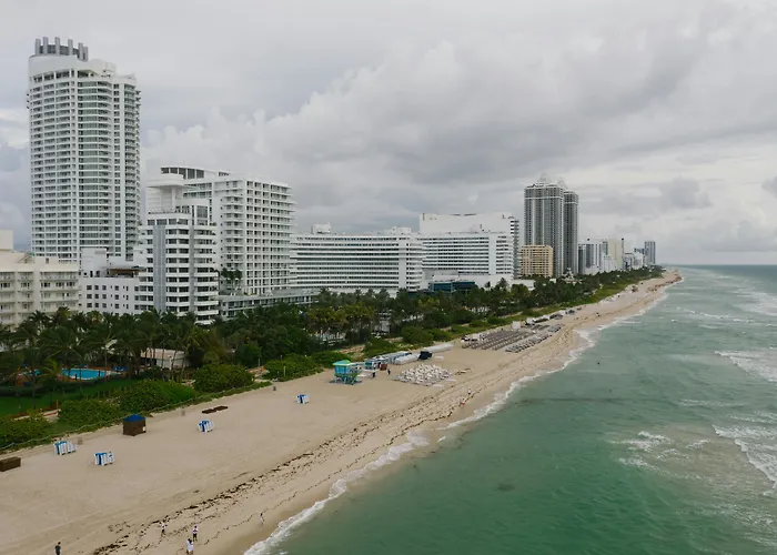 Pantera Rosa Hotel Miami Beach